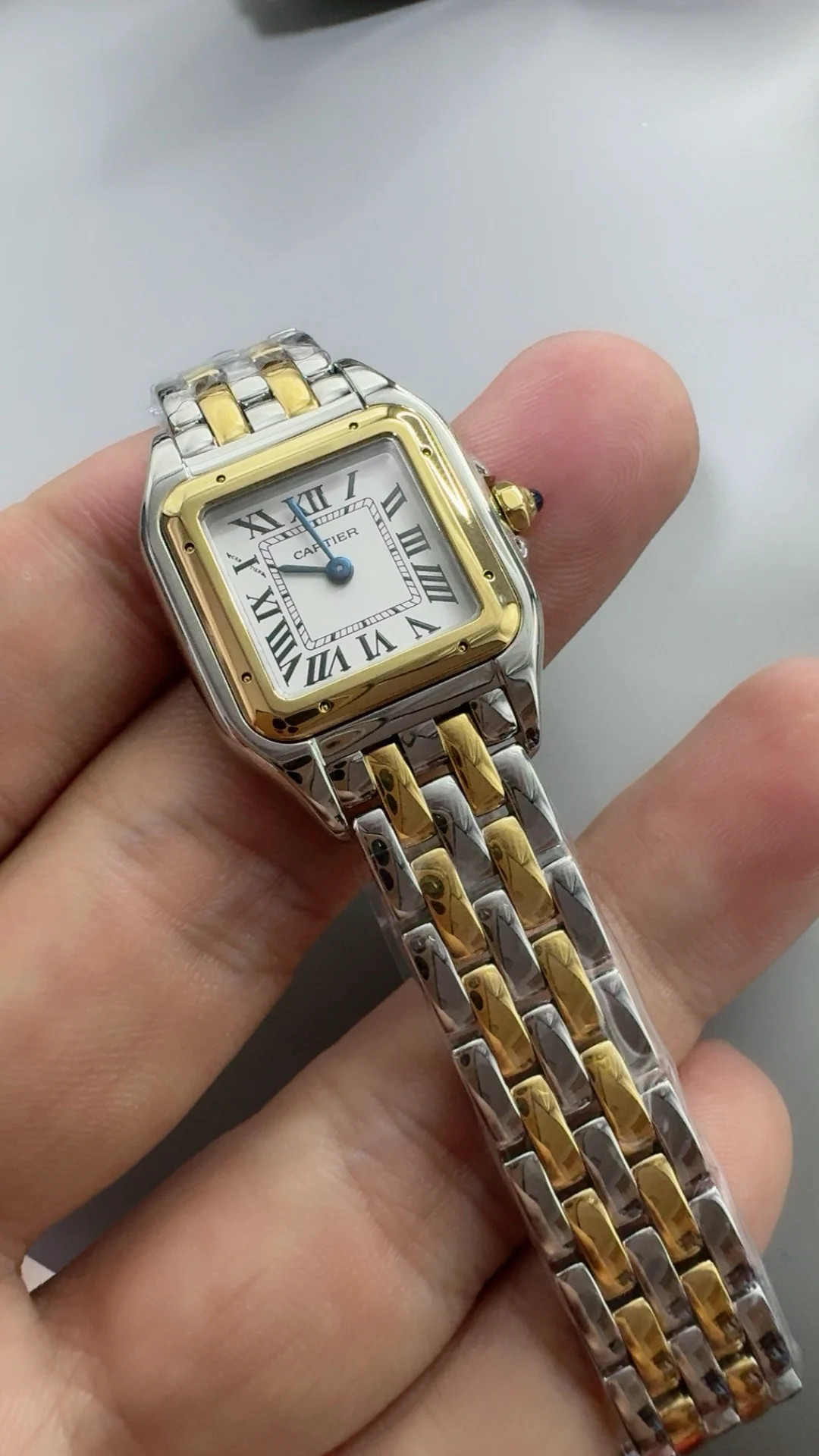 Cartier Panthère Two-Tone 22mm — photographed off the sweep