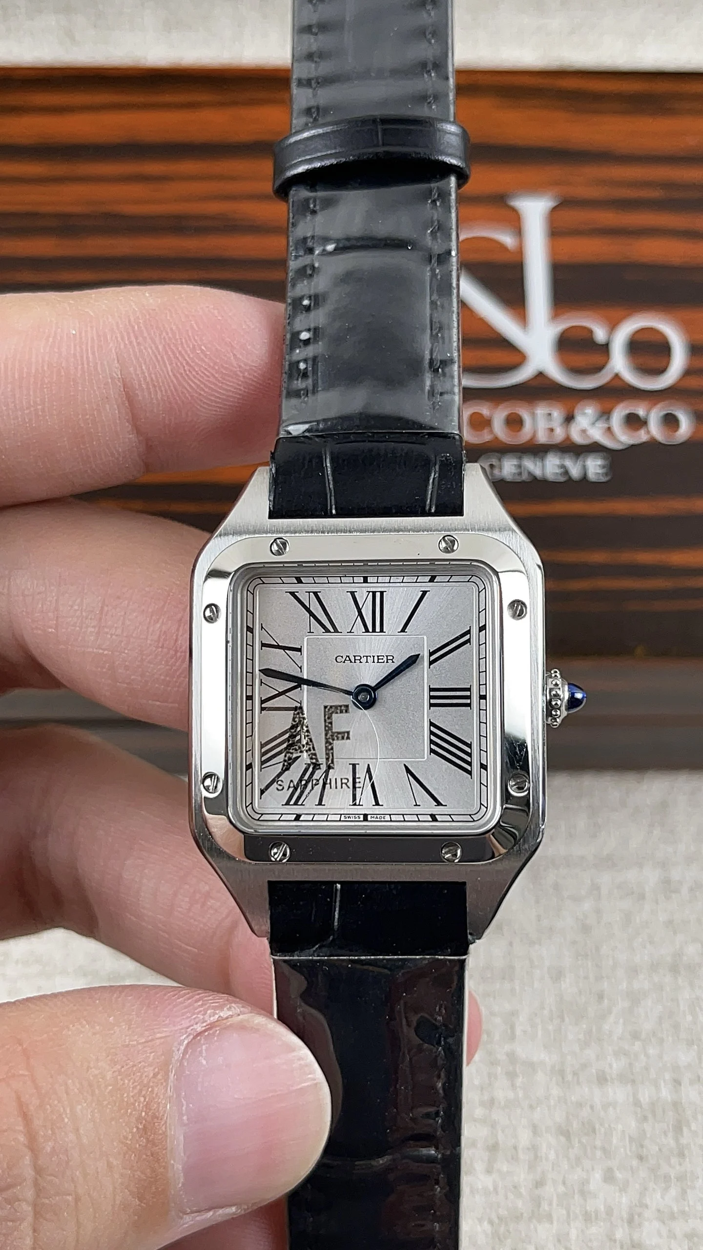 Cartier Santos — photographed off the sweep