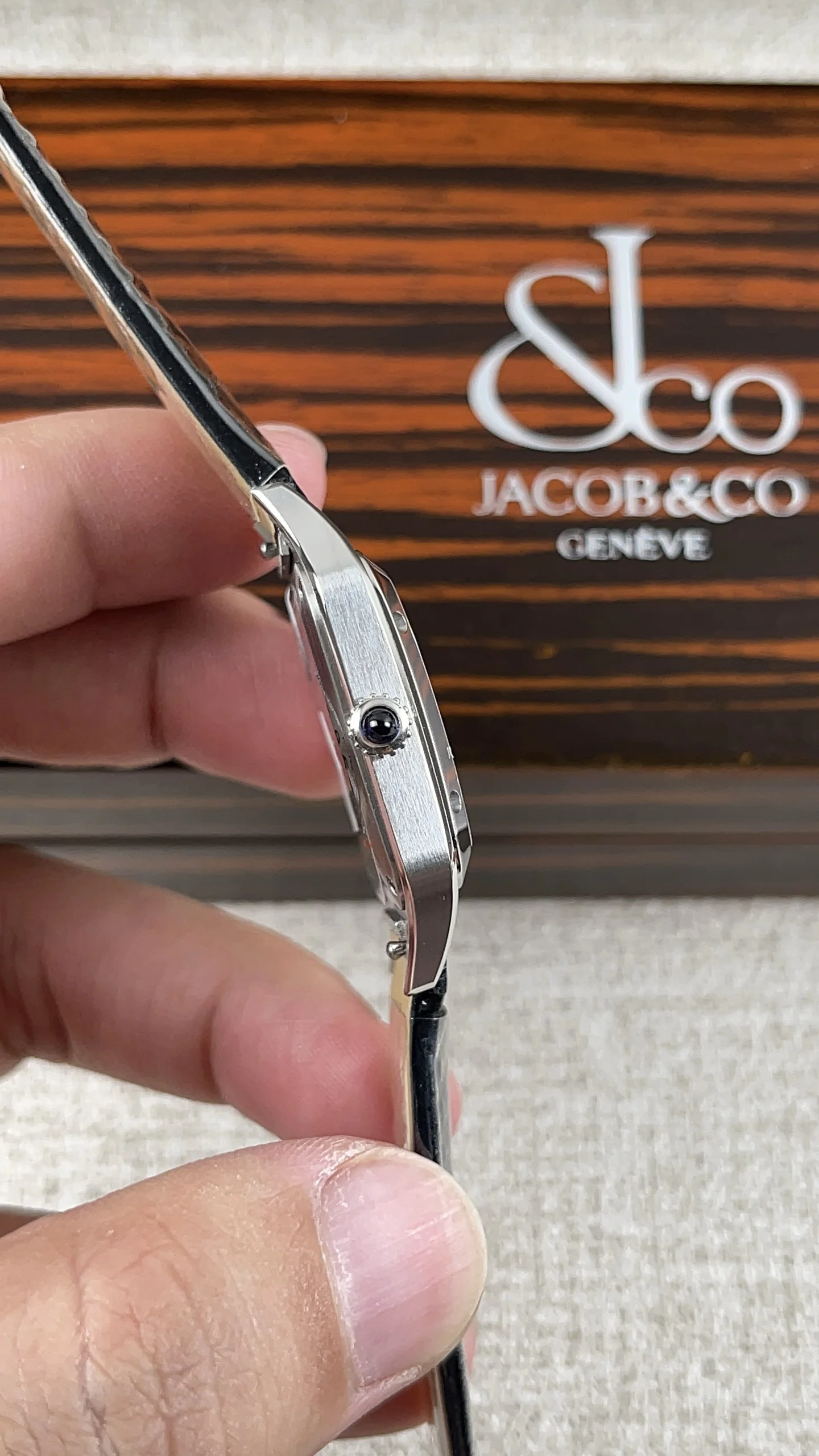 Cartier Santos — photographed off the sweep