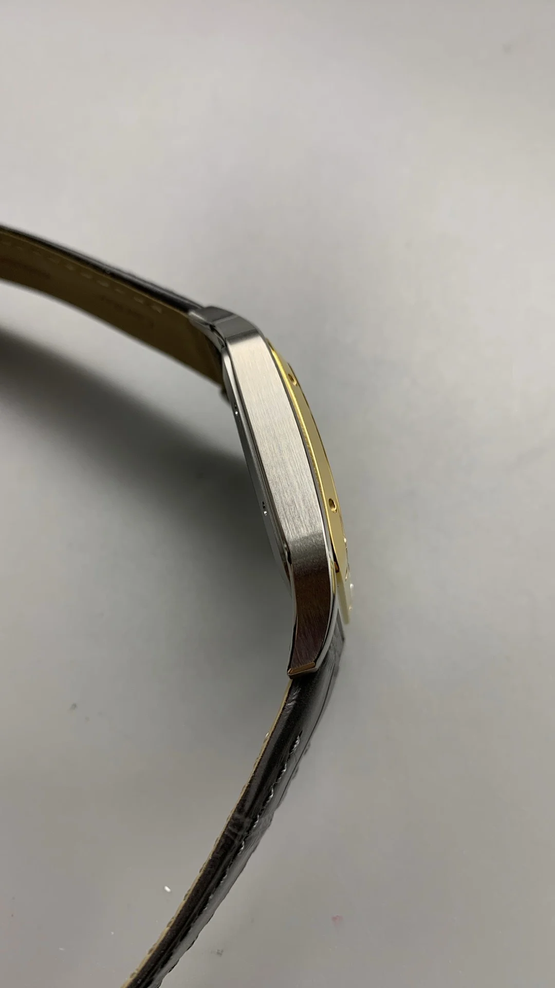 Cartier Santos-Dumont Two-Tone — photographed off the sweep