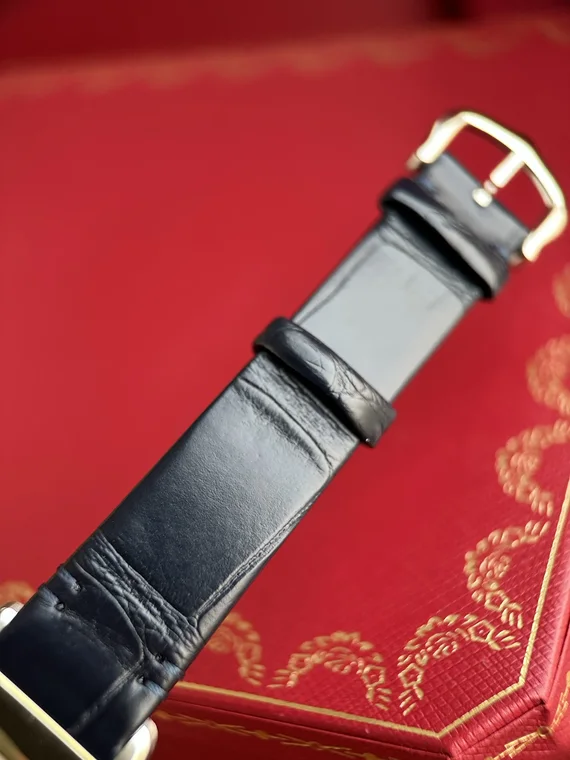 Cartier Santos Steel Silver Dial WSSA0082 27mm