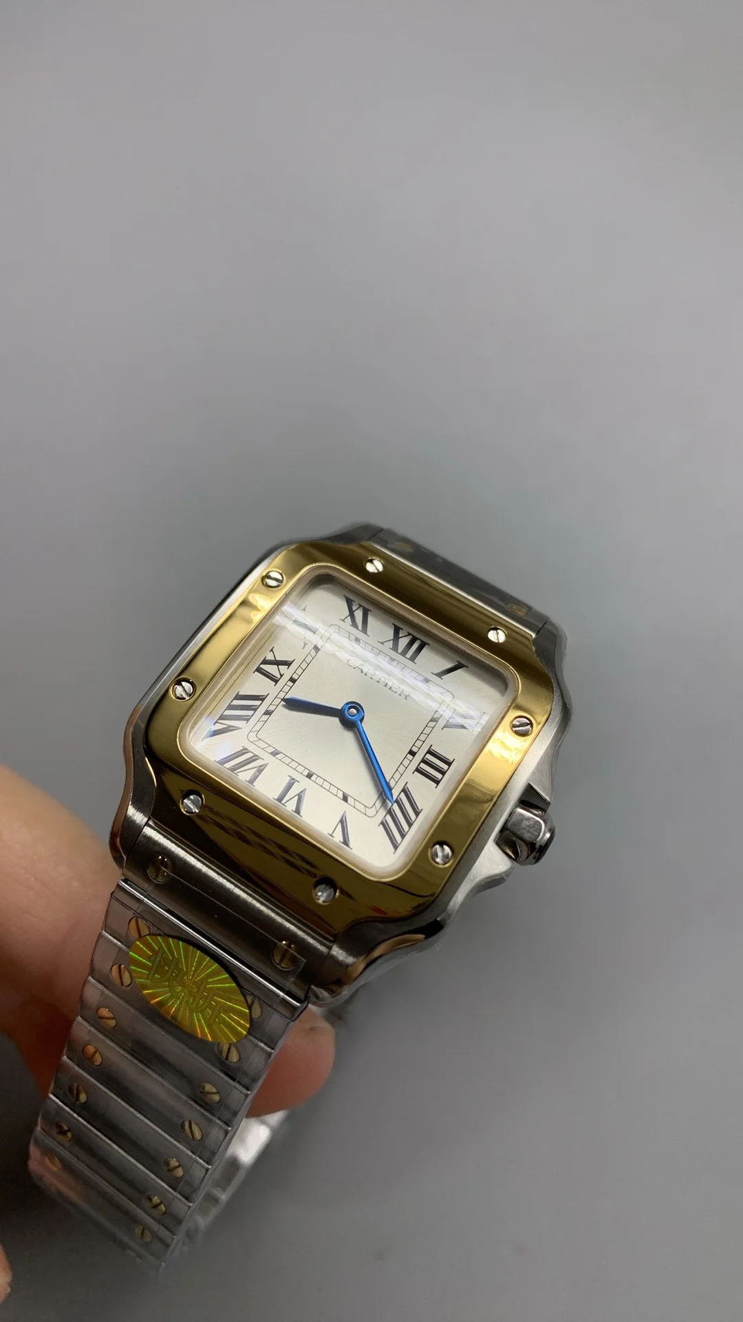 Cartier Santos Two-Tone 27mm — photographed off the sweep
