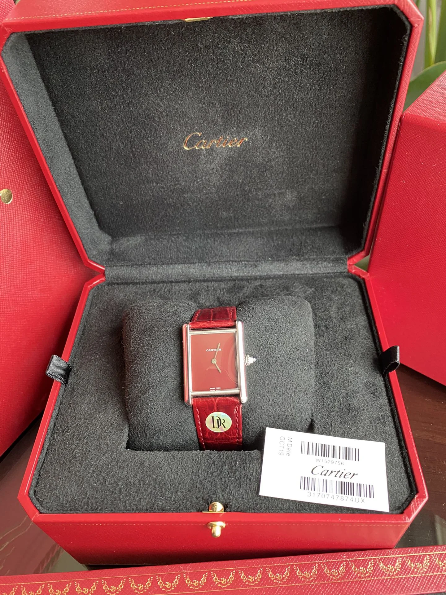 Cartier Tank Must 33mm — photographed off the sweep