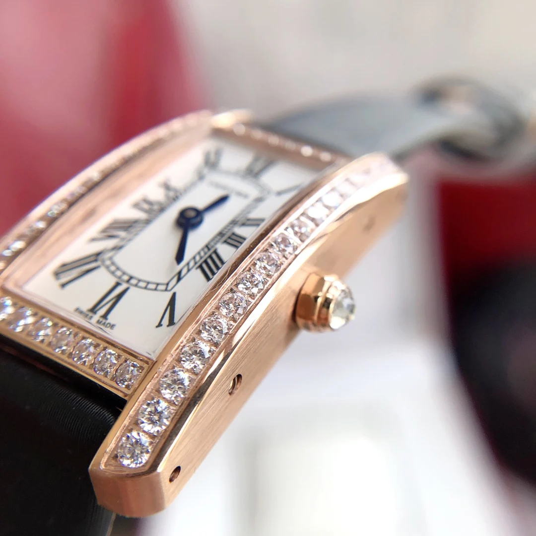Cartier Tank Steel 20mm — photographed off the sweep