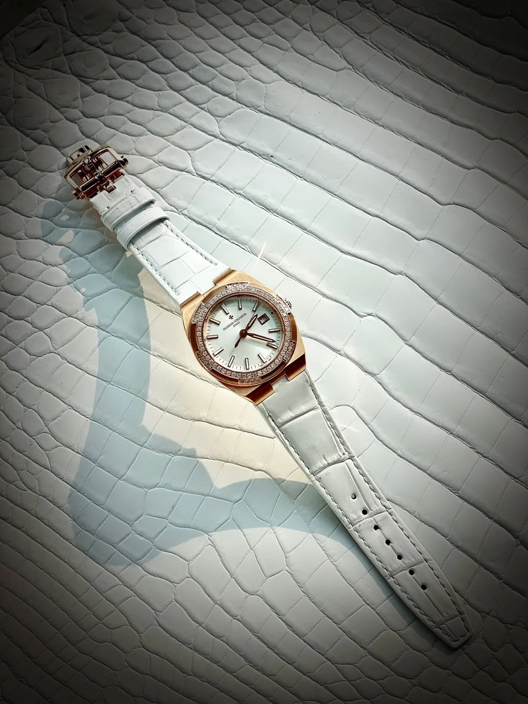 Imported alligator leather from Honey River, certified by — photographed off the sweep