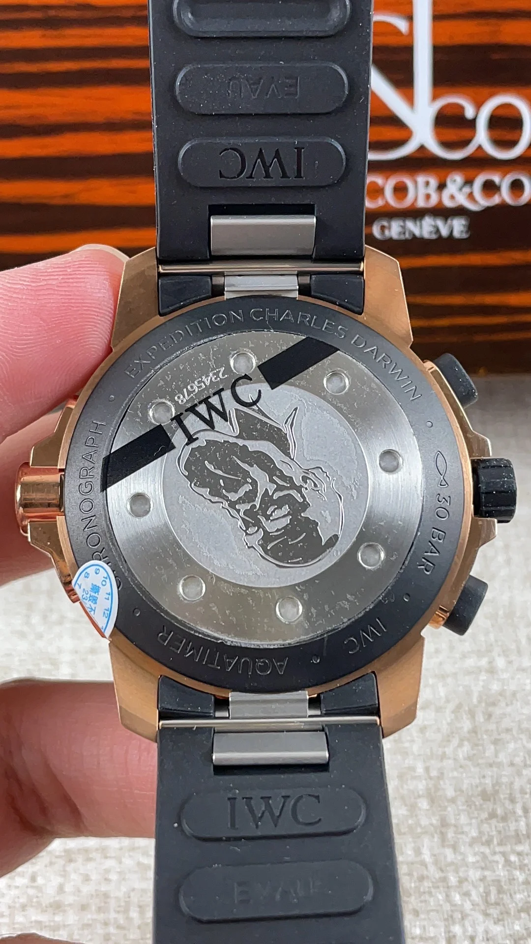 IWC Bronze — photographed off the sweep
