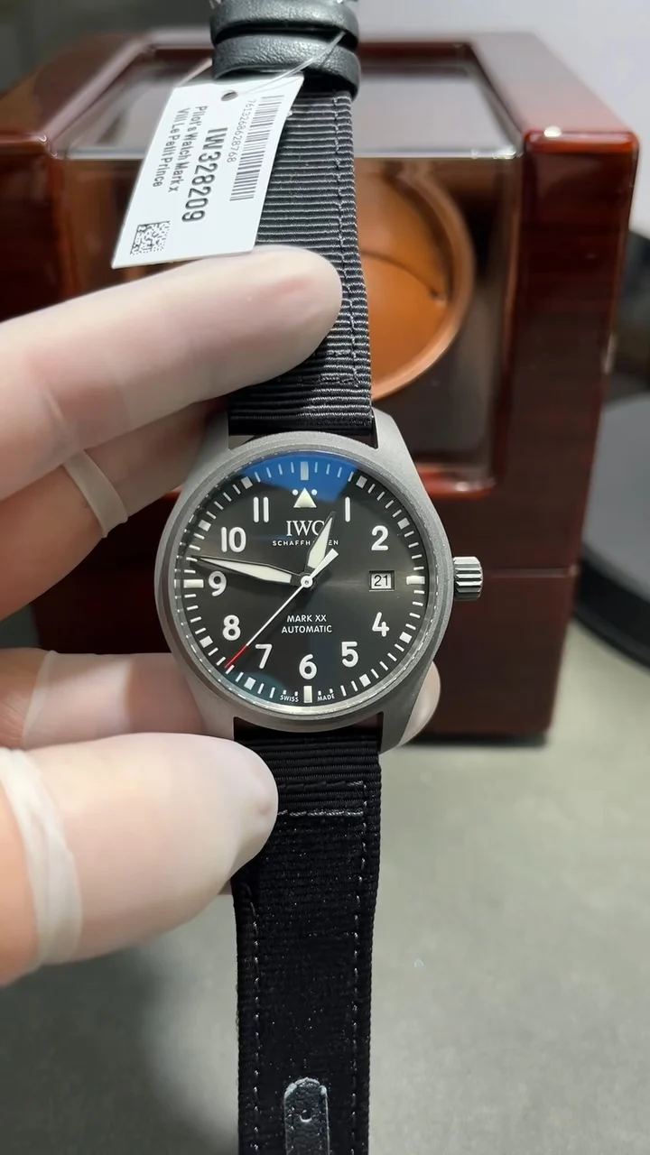 IWC Pilot Titanium