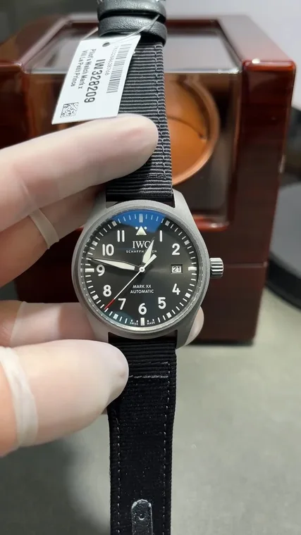 IWC Pilot Titanium