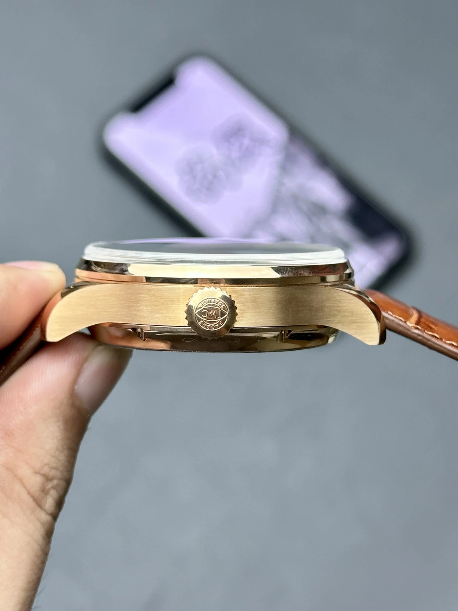 IWC Portugieser Perpetual Calendar — photographed off the sweep