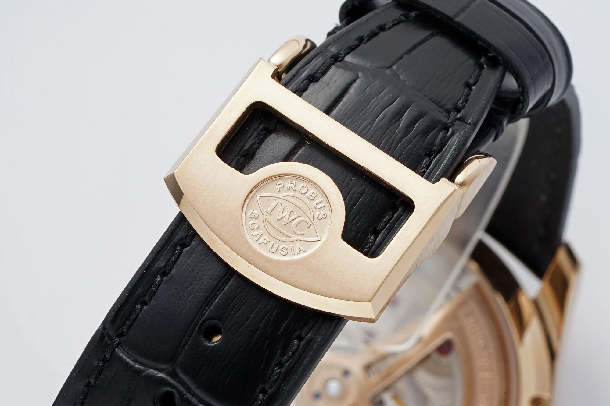 IWC Portugieser Perpetual Calendar 42.2mm — photographed off the sweep