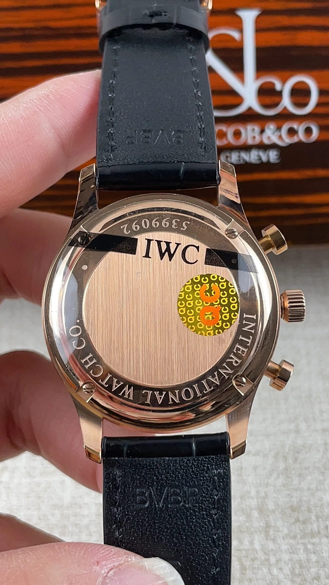 IWC Portugieser Rose Gold — photographed off the sweep