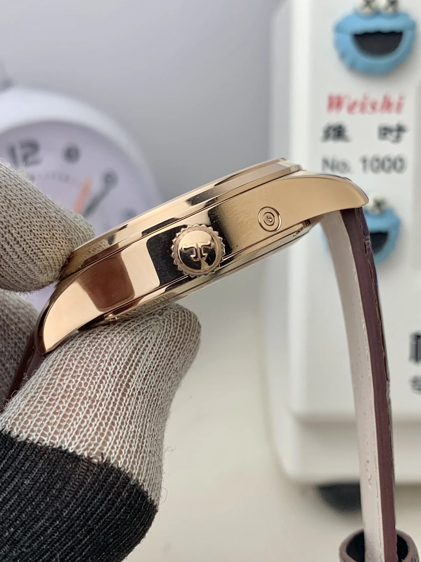 Jaeger-LeCoultre World Time — photographed off the sweep
