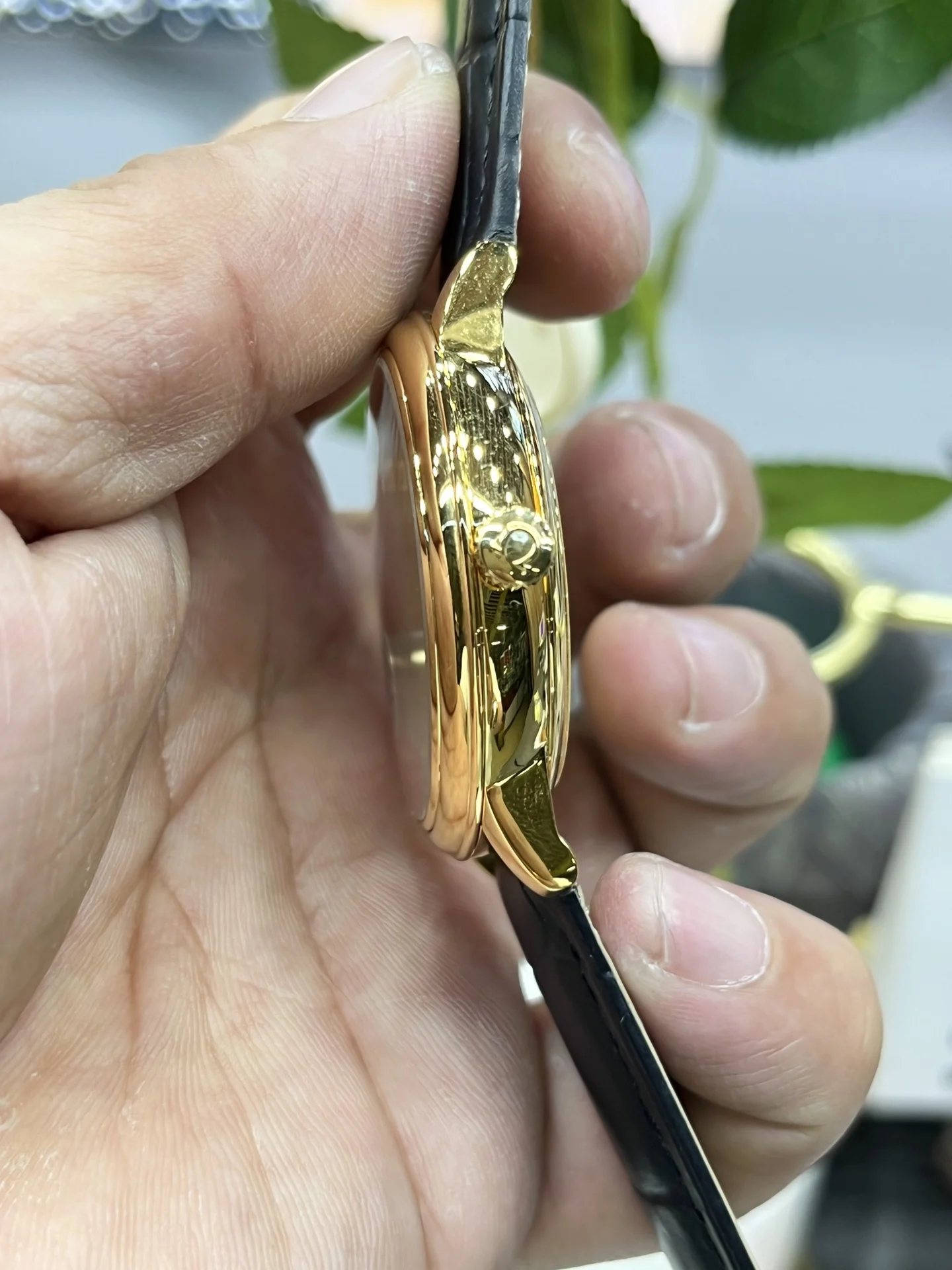 Omega Golden Butterfly — photographed off the sweep