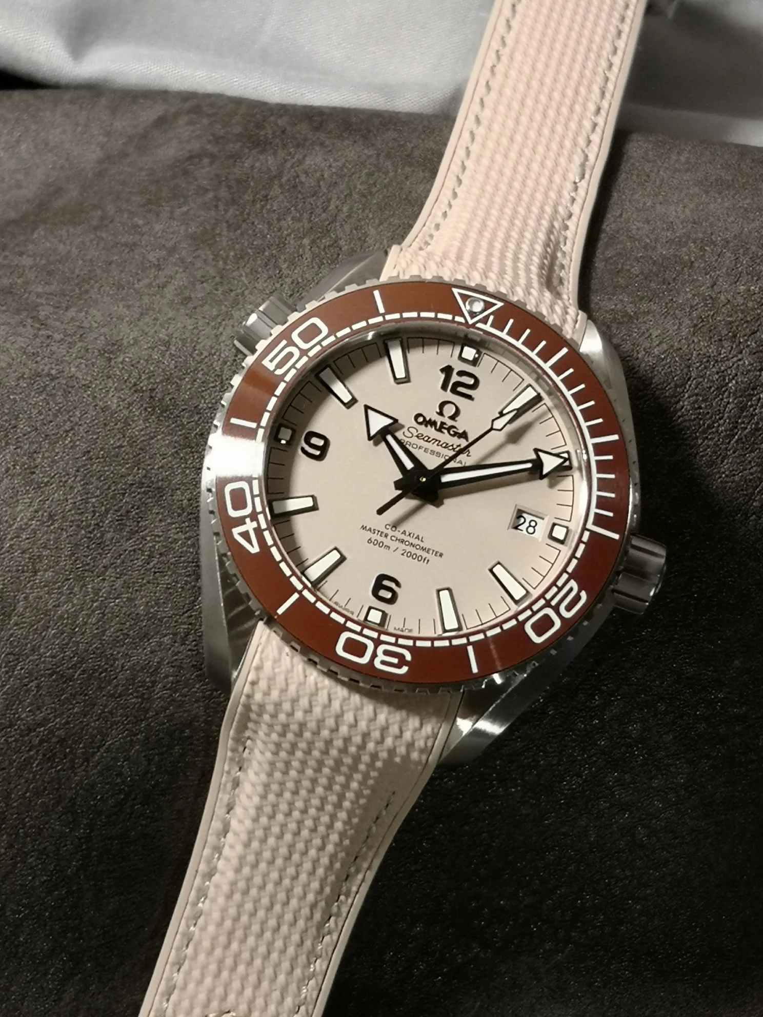 Omega Seamaster 215.32.44.21.09.001 — photographed off the sweep
