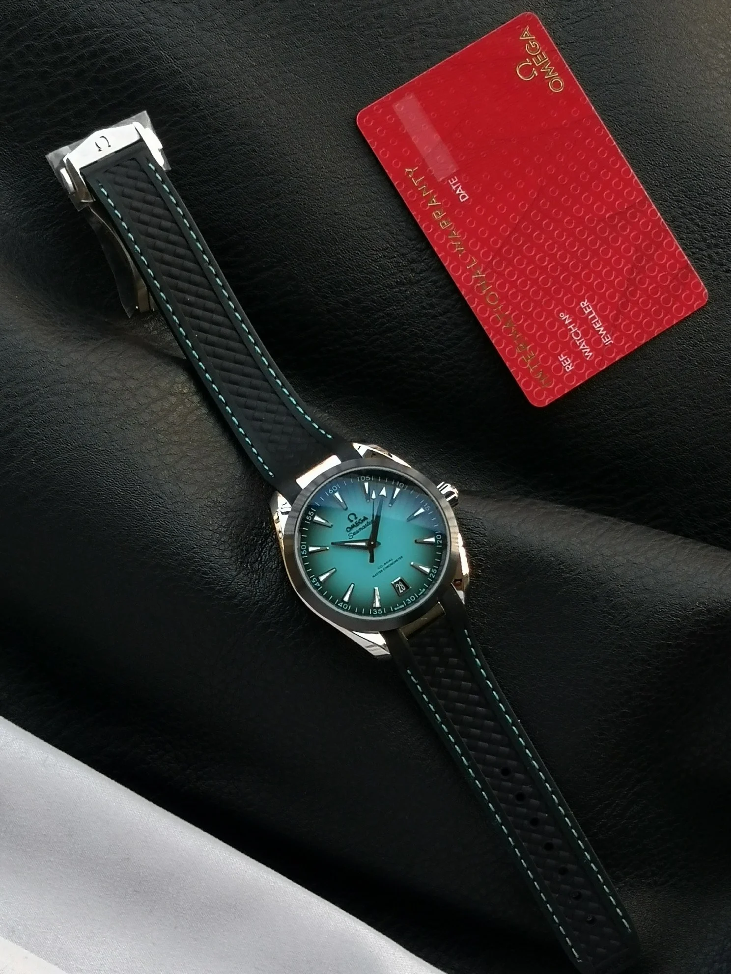 Omega Seamaster 220.32.41.21.03.001 — photographed off the sweep