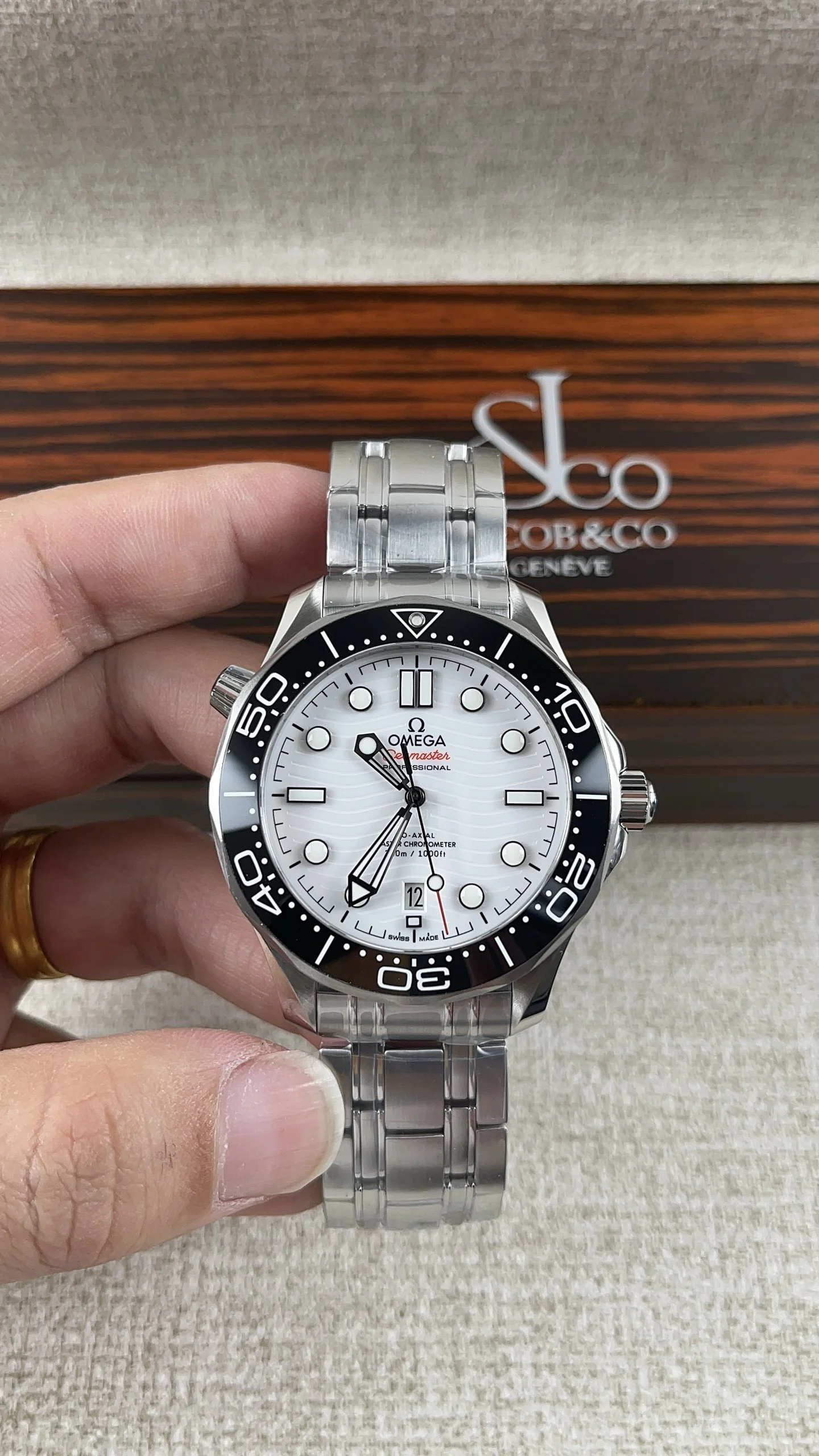 Omega Seamaster 300 Panda — photographed off the sweep