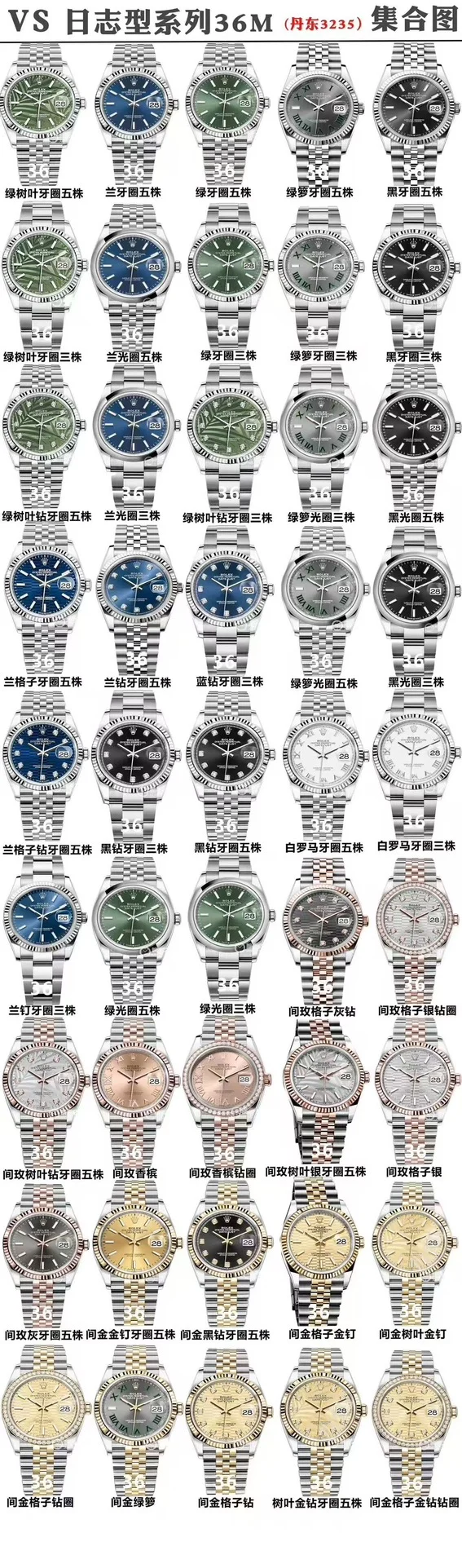 Rolex Collection Family Portrait — photographed off the sweep