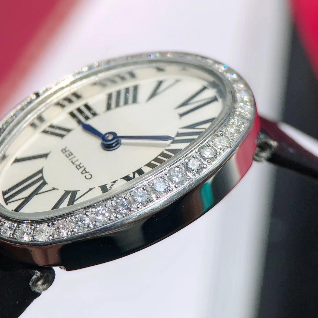 This case features 40 genuine VVS-grade diamonds of varying — photographed off the sweep