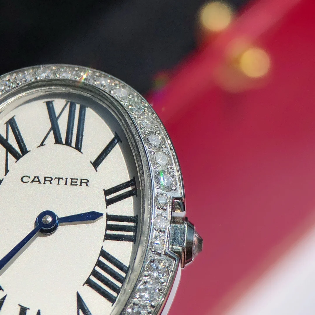This case features 40 genuine VVS-grade diamonds of varying — photographed off the sweep