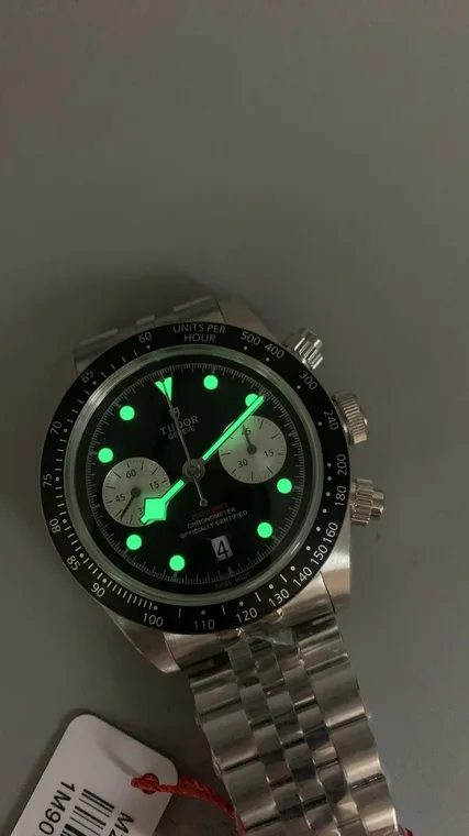 Tudor Black Bay Panda