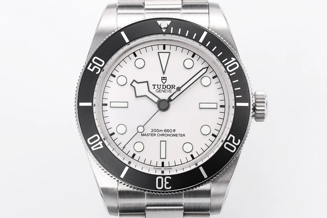 Tudor Black Bay Two-Tone — detail