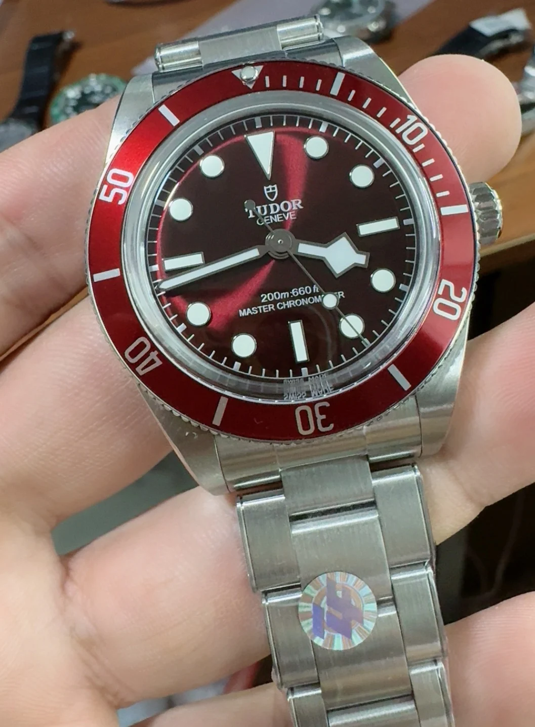 Tudor Red Dial 39mm — photographed off the sweep