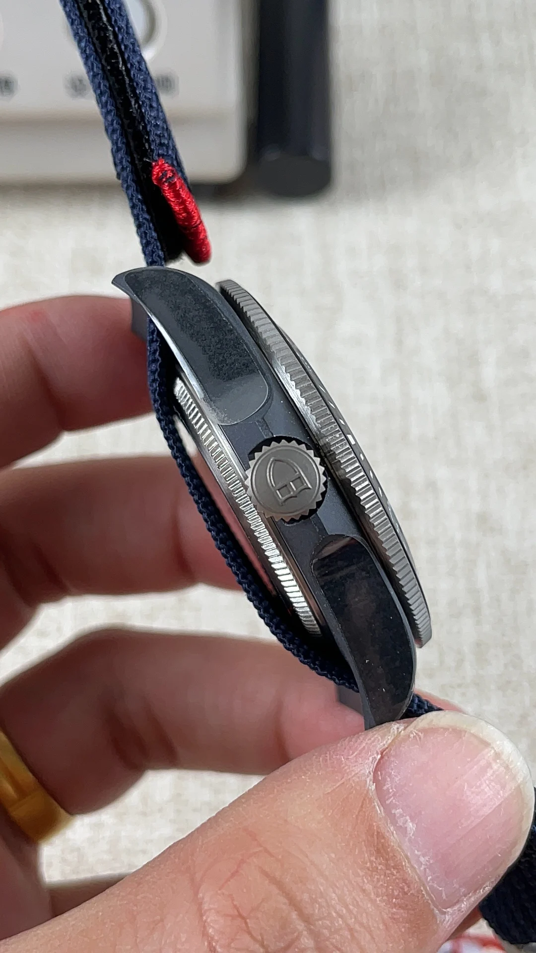 Tudor Titanium — photographed off the sweep