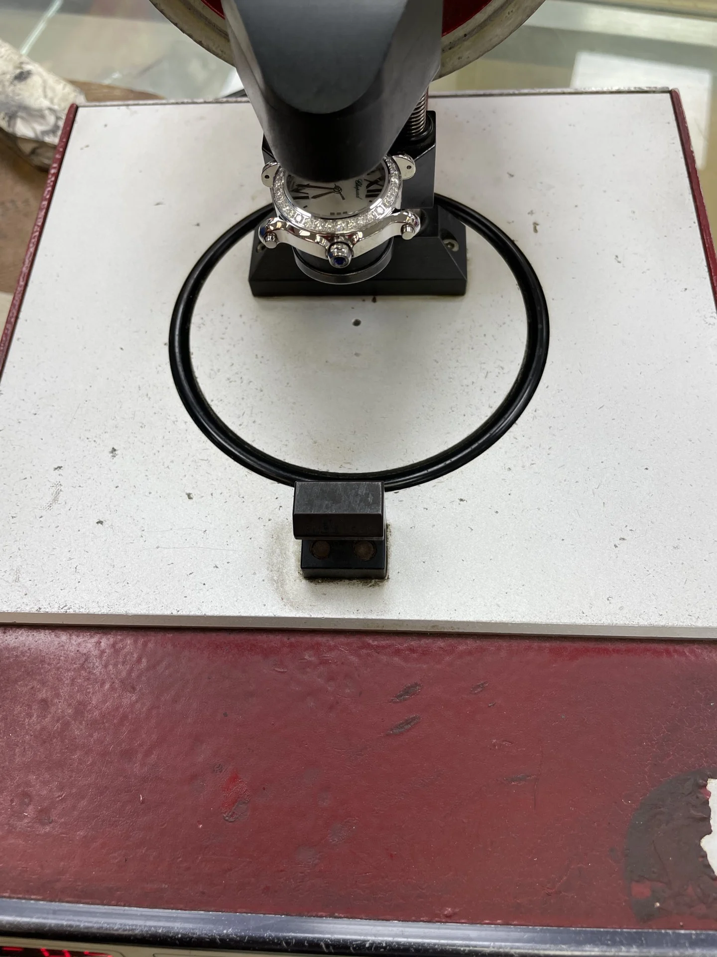 We take every aspect of the water resistance test seriously — photographed off the sweep