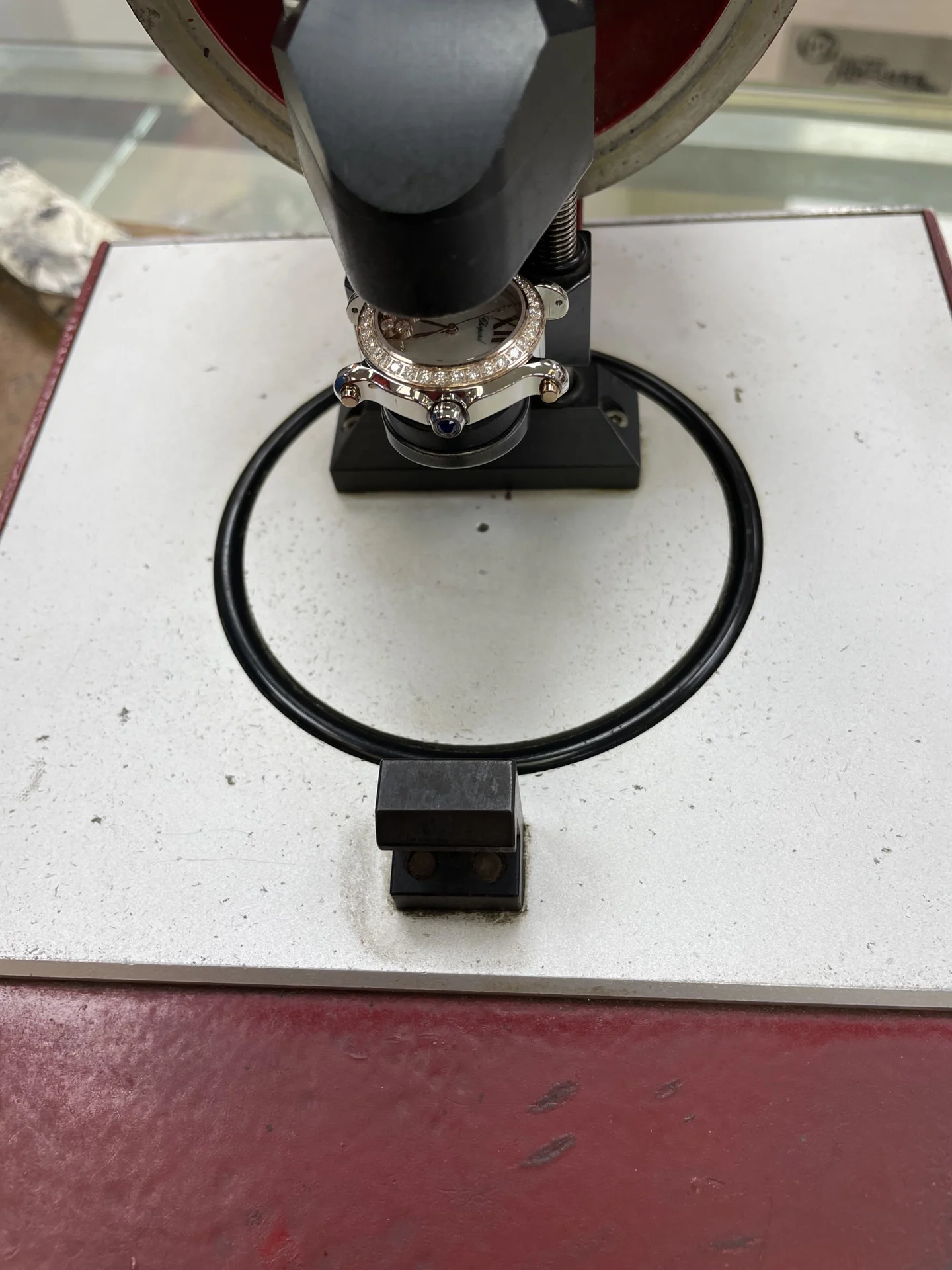 We take every aspect of the water resistance test seriously — photographed off the sweep
