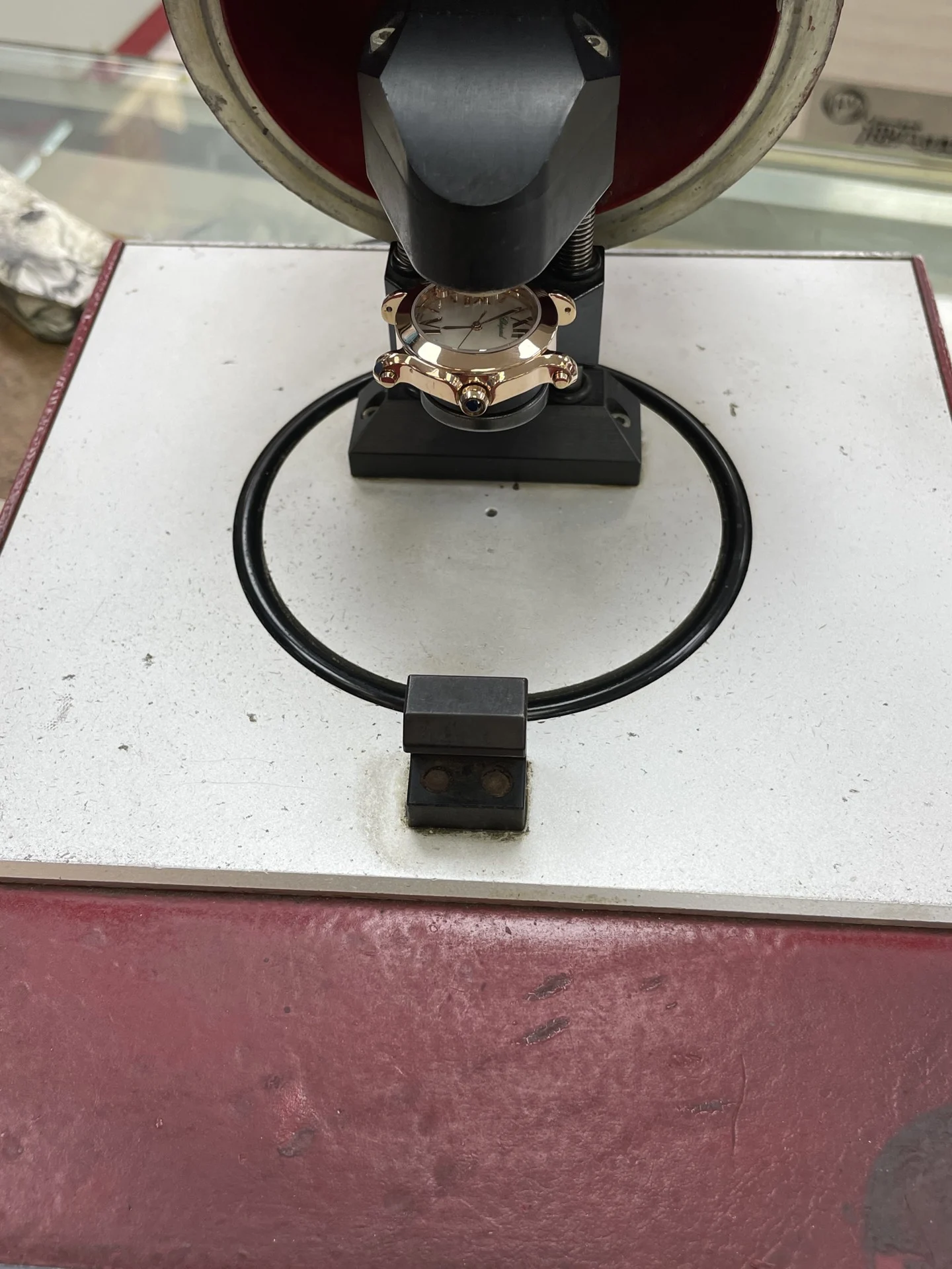 We take every aspect of the water resistance test seriously — photographed off the sweep
